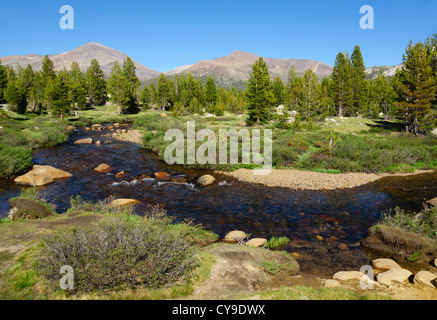 Lac du bassin de la mono pour Yosemite, la Route 120 - La rivière Tuolumne meadows et. Vue vers le Mont Dana. Banque D'Images