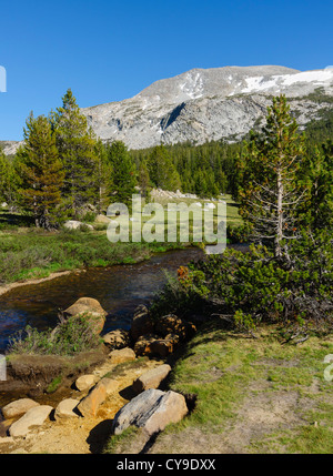 Lac du bassin de la mono pour Yosemite, la Route 120 - La rivière Tuolumne meadows et. Crest Kuna montagnes au-delà. Banque D'Images