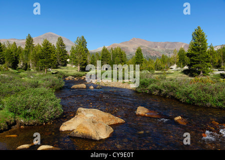 Lac du bassin de la mono pour Yosemite, la Route 120 - La rivière Tuolumne meadows et. Vue vers le Mont Dana. Banque D'Images