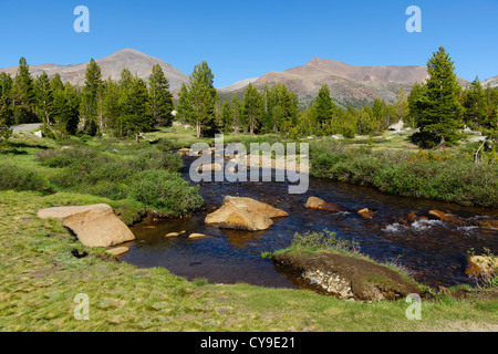 Lac du bassin de la mono pour Yosemite, la Route 120 - La rivière Tuolumne meadows et. Vue vers le Mont Dana. Banque D'Images