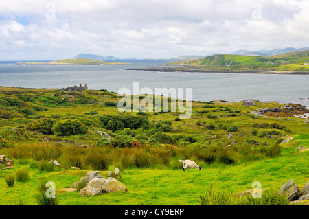 L'Irlande verte de la route côtière près de Eyeries, comté de Kerry, Irlande. Banque D'Images