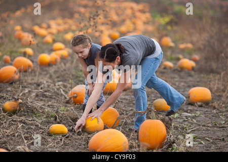 Mère et fille ramasser des citrouilles, l'autocueillette farm dans le nord de New York, Mohawk Valley Banque D'Images