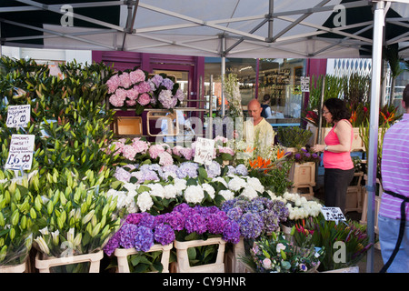 Un détenteur de stalle dans le populaire marché des fleurs de Londres à Columbia Road, Londres, Angleterre, GB, Royaume-Uni Banque D'Images