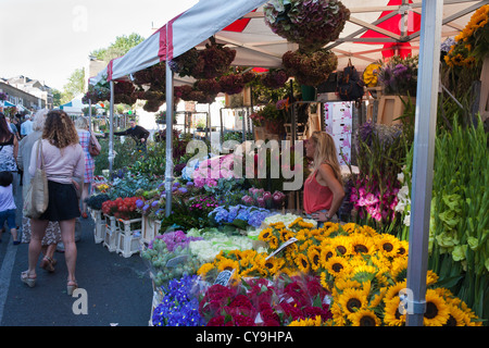 Un détenteur de stalle dans le marché populaire des fleurs de Columbia Road, Londres, Angleterre, GB, Royaume-Uni Banque D'Images