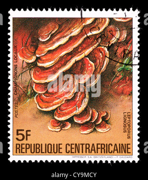 Timbre-poste de la République centrafricaine illustrant les champignons Banque D'Images