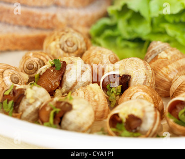 Plateau d'escargot, délicieux, Delicatessen escargots comestibles big white, bouilli et servi avec une sauce à l'ail Banque D'Images