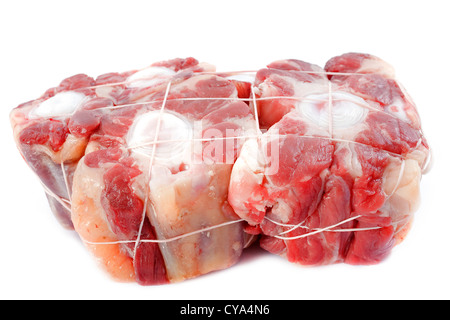 Queue de boeuf Ox in front of white background Banque D'Images