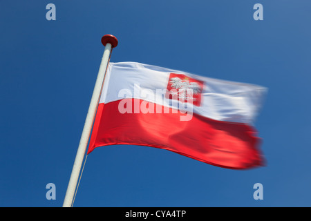 Brandir le drapeau polonais dans le vent. Banque D'Images