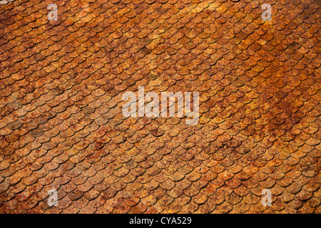 Toit en tuiles anciennes taches de rouille. Banque D'Images