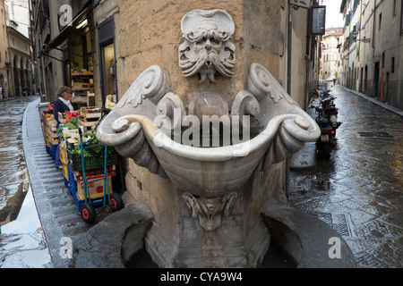 Fontaine ornés sur rue à Florence Italie Banque D'Images