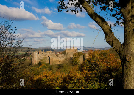 Ludlow Castle dans le Shropshire à l'automne 2012, sunshine. Banque D'Images