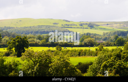 Motifs du château de sudeley estate Gloucestershire Cheltenham, Angleterre, Royaume-Uni Banque D'Images