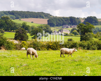 Motifs du château de sudeley estate Gloucestershire Cheltenham, Angleterre, Royaume-Uni Banque D'Images