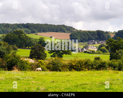 Motifs du château de sudeley estate Gloucestershire Cheltenham, Angleterre, Royaume-Uni Banque D'Images