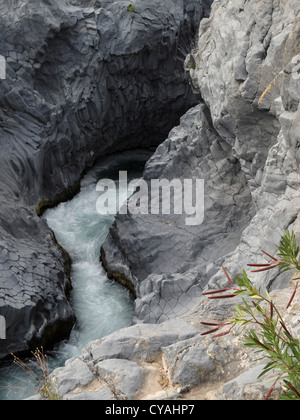 La gorge de l'Alcantara. Parc Botanique et Géologique, Motta Camastra, Sicile, Italie. Banque D'Images