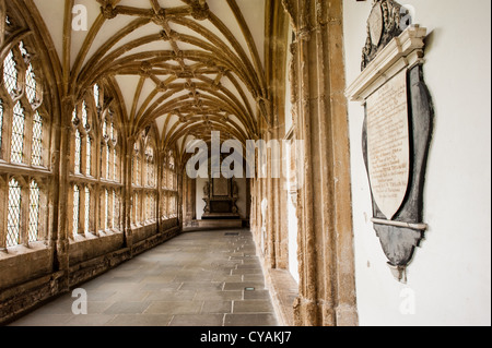 WELLS, Angleterre — la cathédrale de Wells, une merveille architecturale de l'époque gothique, est située au cœur de Wells, Somerset. La cathédrale, renommée pour sa façade ouest et ses arches en ciseaux uniques, est un lieu de culte et de pèlerinage depuis des siècles, qui incarne la riche histoire religieuse et architecturale de la ville. Banque D'Images