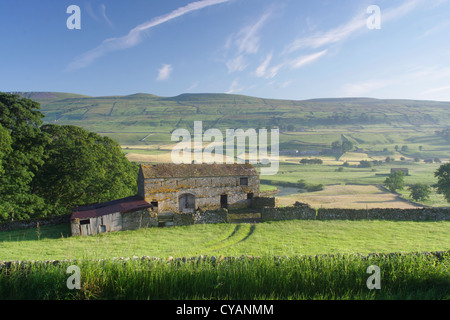 Grange en pierre, murs de pierres sèches et rivière Ure, Burtersett, près de Hawes, Wensleydale, Yorkshire, Angleterre, juillet Banque D'Images