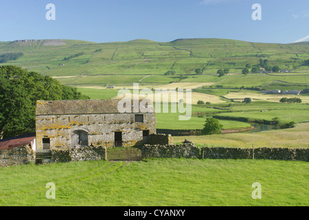 Grange en pierre, murs de pierres sèches et rivière Ure, Burtersett, près de Hawes, Wensleydale, Yorkshire, Angleterre, juillet Banque D'Images