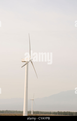 Groupe d'éolienne dans le coucher du soleil, l'ouest de la Chine Banque D'Images