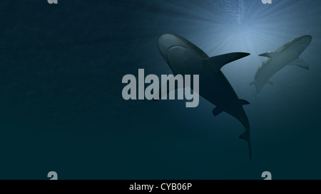 En eau profonde de requins Banque D'Images