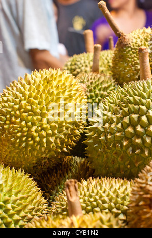 Durian, un fruit tropical exotique qui forte odeur et les épines. Banque D'Images