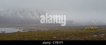 L'ÎLE AMSTERDAM NORVÈGE SVALBARD Banque D'Images