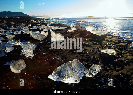 Les icebergs sur la plage de sable volcanique à l'Islande Jokulsarlon Banque D'Images