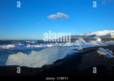 Les icebergs sur la plage de sable volcanique à Jokulsarlon avec de la neige sur l'énorme calotte glaciaire du Vatnajokull, derrière l'Islande Banque D'Images