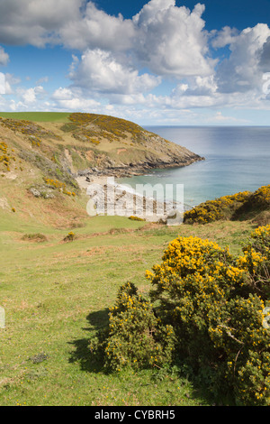 Nare Head ; St Just in Roseland, Cornwall, UK Banque D'Images