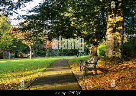 Banc de parc avec sentier pédestre - Collett Park, Shepton Mallet, Somerset, Angleterre, en automne, ROYAUME-UNI Banque D'Images