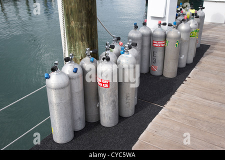 Réservoirs d'air plongée alignés sur jetée pour être rempli en harbor key west florida usa Banque D'Images