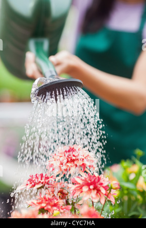 Woman watering flowers Banque D'Images