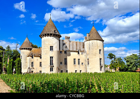 Château de Savigny les Beaune, bourgogne, france. Banque D'Images