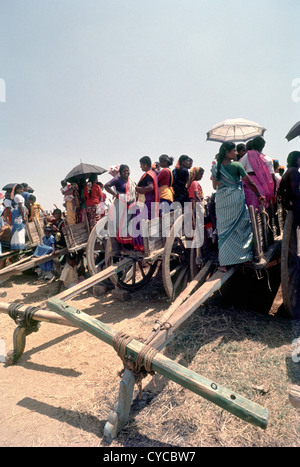 Carts sert de tribune pour le vif de l'auditoire en Urangampatti Jallikattu, Madurai, Tamil Nadu, Inde. Banque D'Images