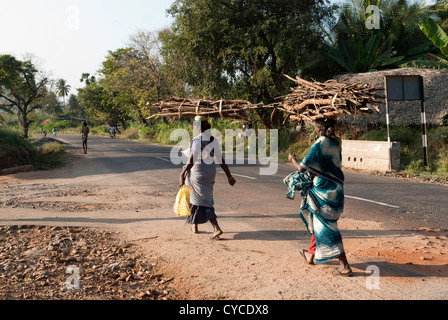 Des femmes transportant du bois de feu sur la tête, le Tamil Nadu.L'Inde Banque D'Images