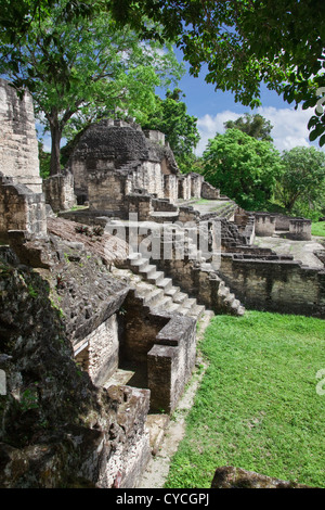 Les magnifiques ruines mayas de Tikal au Guatemala, les jungles d'Amérique centrale. Banque D'Images