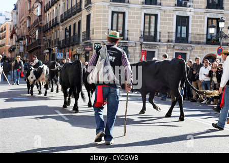 Les animaux sont entassés dans le cœur de Madrid, en Espagne, au cours de l'assemblée annuelle du festival Trashumancia Banque D'Images