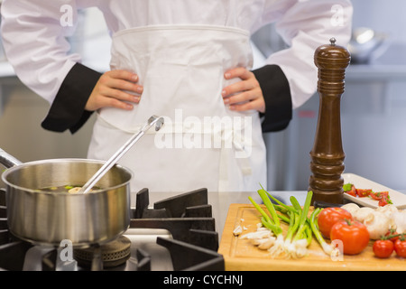 Chef de faire de la soupe Banque D'Images
