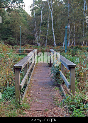 Bridge en Holme Fen, Cambridgeshire Angleterre Banque D'Images