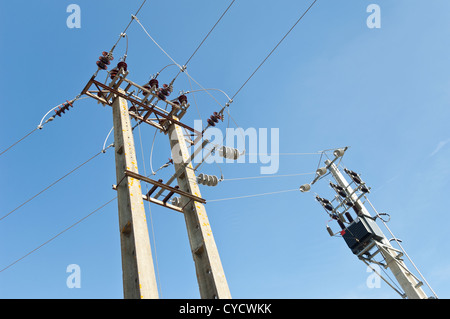 La branche d'une ligne électrique moyenne tension Banque D'Images