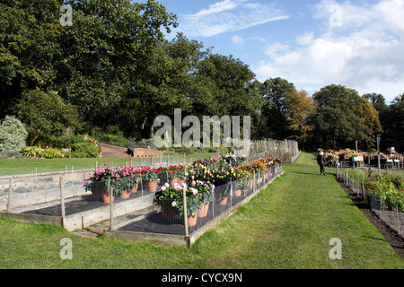 Les champs d'essai de l'Horticulture de RHS WISLEY. SURREY UK. Banque D'Images