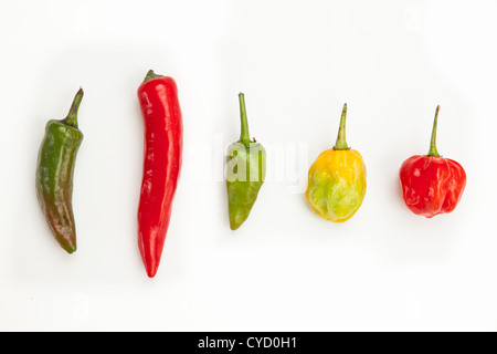 Line up de spicy chillies Banque D'Images