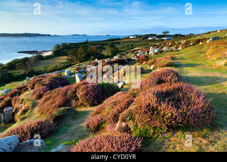 Le Halangy ; St Mary's, Îles Scilly ; Royaume-Uni ; village de l'âge du fer Banque D'Images