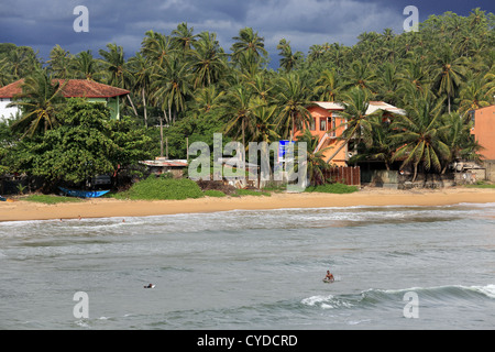 Les surfeurs locaux sri-lankais du surf à Galle, au Sri Lanka. Banque D'Images