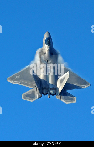 Pilote de l'US Air Force membre du F-22A Raptor pilote de l'équipe effectue le 3 février 2010 à Langley Air Force Base, en Virginie. Banque D'Images