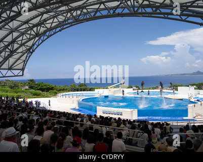 Spectacle de Dauphins à Churaumi Aquarium, Okinawa, Japon Banque D'Images