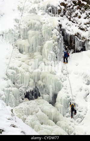 L'escalade de glace sur la queue de jument grise Cascade, Moffat Hills, Dale Moffat, Dumfries et Galloway, Écosse Banque D'Images