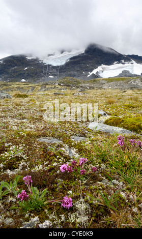 Les montagnes de Jotunheimen, près de l'Hervassbu, Sogn og Fjordane, Norvège Banque D'Images