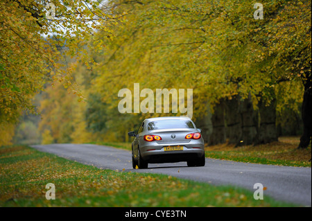 Seule voiture roulant le long de la Lime Tree avenue à Clumber Park, Nottinghamshire, Angleterre au cours de l'automne. Banque D'Images