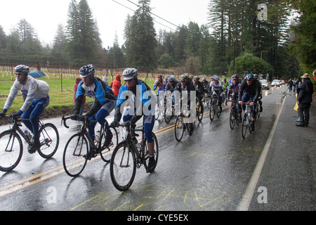 Les cyclistes en compétition dans l'AMGEN Tour de Californie. Banque D'Images